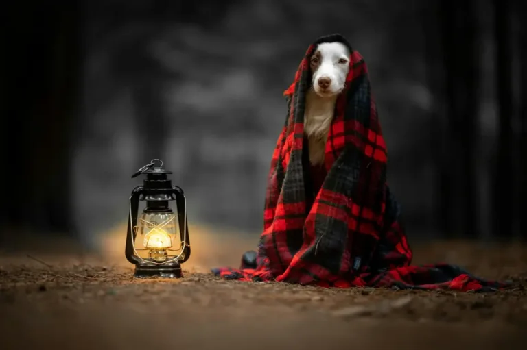 History of Domesticated Animals: From Wild Beasts to Pets