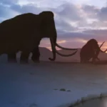 Prehistoric Mammals Featured Image