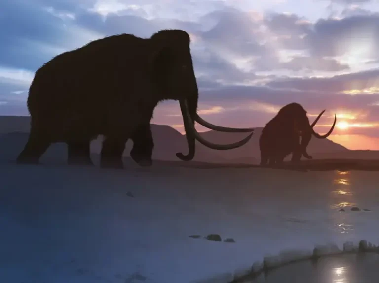 Prehistoric Mammals: Ancient Giants That Once Roamed the Earth