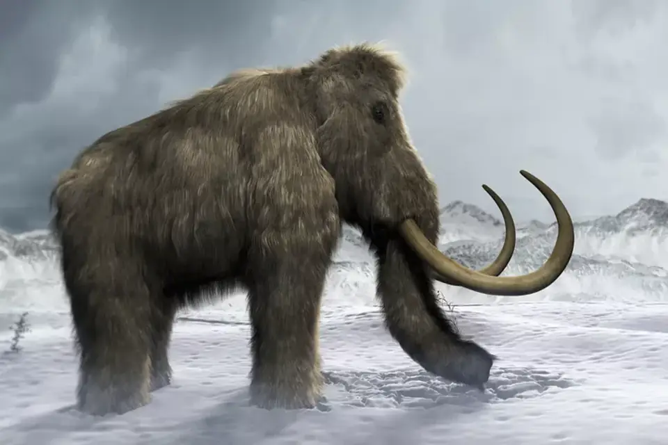 Prehistoric Mammals The Dawn of Prehistoric Mammals